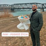 Paw - Podróż życia