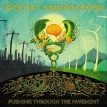 The Polish Ambassador - Let the Rhythm Just (ft Mr Lif Ayla Nereo)