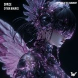 SPAECE and Galactic Harmony - The Volume