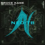 Bruce Kane - Trip To The Moon (Original Mix)