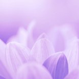 111 Aarya Vibes - Where Your Mind Goes