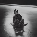 MOTYLE x Efekt Motyla - Stek bzdur