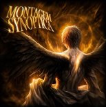 WXRTNAX - Montagem Synoptica