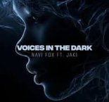 Navi Fox - Voices In The Dark (feat. Jaki)