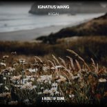Ignatius Wang - Ikigai