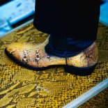 Gringo Mayer - Nix okay