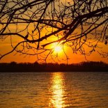 Blue Fire - Majestic