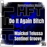Maickel Telussa, Sentinel Groove - Do It Again Bitch (Original Mix)