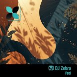 DJ Zebra - Feel (Extended Mix)