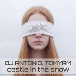 Dj Antonio & TomYam - Castle in the Snow