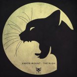Aaron Mount - The Rush (Original Mix)
