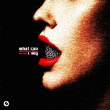 Valentino Khan & No/Me - What Can I Say (Extended Mix)