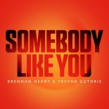 Brennan Heart & Trevor Guthrie - Somebody Like You (Extended Mix)