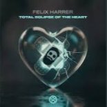 Felix Harrer - Total Eclipse Of The Heart (Extended Mix)