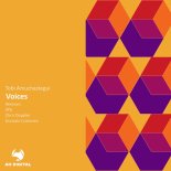 Tobi Amuchastegui - Voices