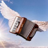 BABY KOALA - SHANSON CORE