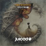 Tomas Mcgoldrick - Spectrum