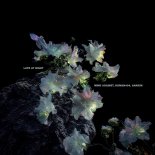 Mind Against, HUMAN404 & Anakim - Late at Night (Extended Mix)