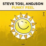 Steve Tosi, Andjson - Funky Feel