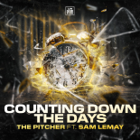 The Pitcher - Counting Down The Days (Extended Mix)