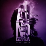 Bitran - Ai no Corrida (House Remix)