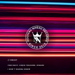 Tom Novy, Chris Trucher, ZingerAT - I Don`t Wanna Know (Extended Mix)