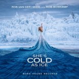 Rob Van Der Heide Vs. Rob Boskamp - She's Cold As Ice