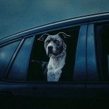 Chris Lorenzo & Kah-Lo - In This Bih' (Original Mix)