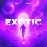 LDX & M!NTɆX - Exotic (Extended Mix)