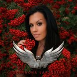 DJ Sofi - Czerwona Jarzębina