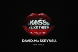 DAVID.M & Skrynsu - Kiss Like This (Orginal Mix)