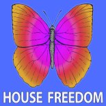 Rousing House - Midnight Flow (Original Mix)