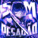 ovg! & DR FUNKO - SOM PESADÃO