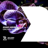 Adam Anderson - Orchis13