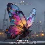 Robinito - Keep Me From Falling (Extended Mix)