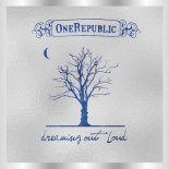 OneRepublic - Apologize
