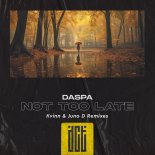 Daspa - Not Too Late (Kvinn Remix)