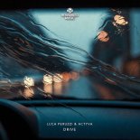 Luca Peruzzi, ACTYVA - Whistle In The Cars (Steve McKelly Remix)