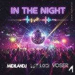 Mylod, Voser, MiDilandj - In The Night (Original Mix)