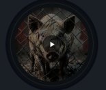 DJHooKeR vs AI - Każdy Facet To Świnia (ver1) (2)