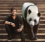 Viva La Panda Feat. Brendan Mills & Britt Lari — Stand by Me