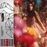 DJ Harvie & Shtain - The Nights