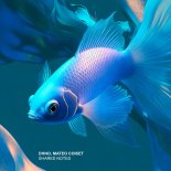 Dhno & Mateo Coiset - Shared Notes