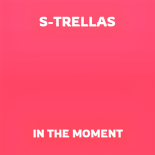 S-Trellas - In The Moment (Original Mix)