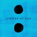 Hrederik & MALCEVS - Shape Of You