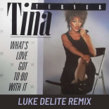 Tina Turner - What's Love Got to Do With it (Luke Delite Remix)