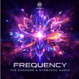 The Enraged & Symbiotic Audio - Frequency (Extended Mix)