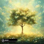 Boostereo, Rich Fayden, Alis Shuka & Deep Mage - For Life