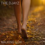 The D-JayZ - Walking Low (Original Mix)