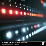 Sonny Bass & Ken Bauer - Hello Hi Goodbye (Extended Mix)